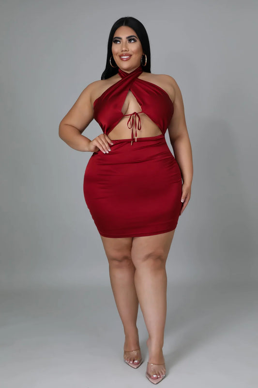 SPEND HIS MONEY DRESS
